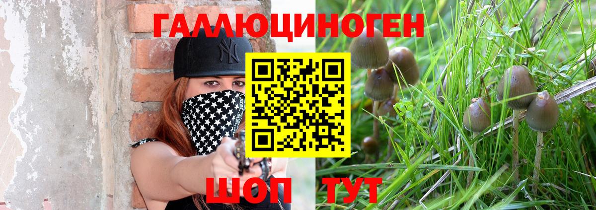 Галлюциногенные грибы GOLDEN TEACHER Ирбит